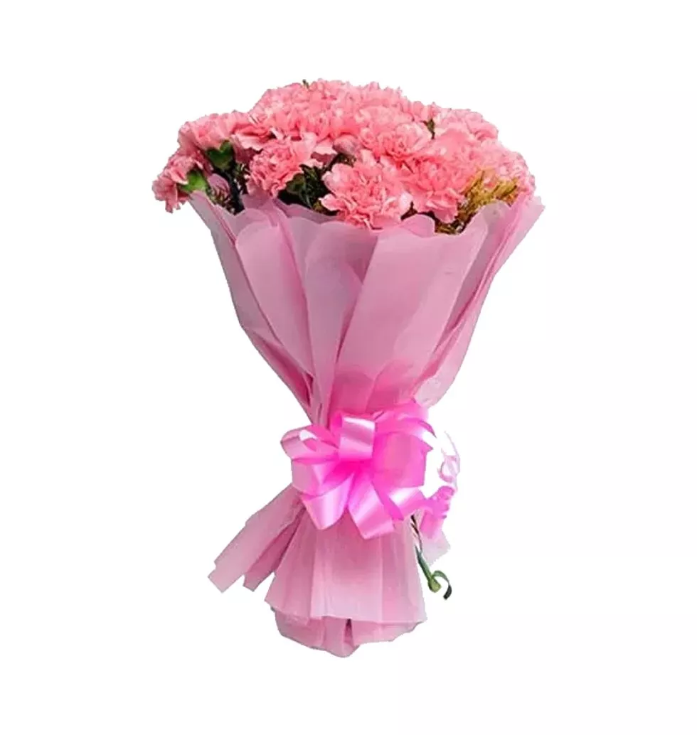 Stunning Twelve Fresh Pink Carnations