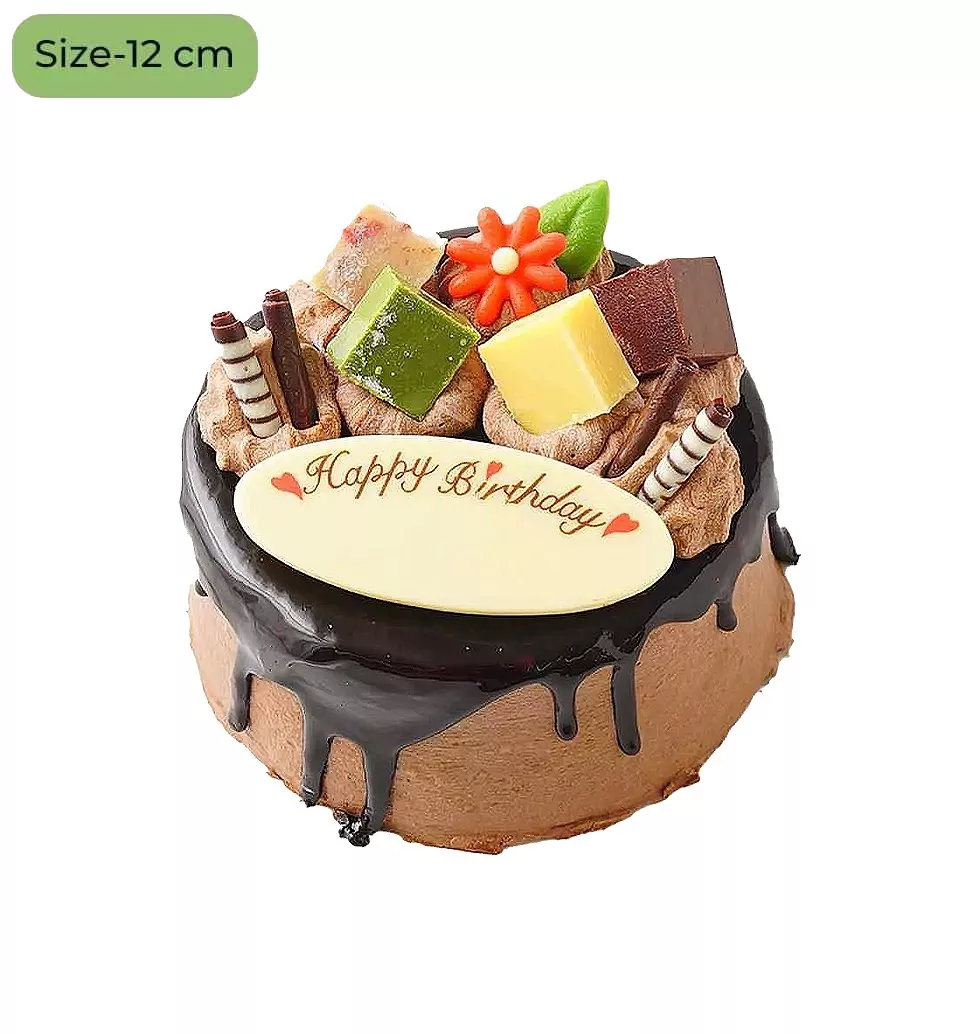 Elegant Chocolate Delight Cake