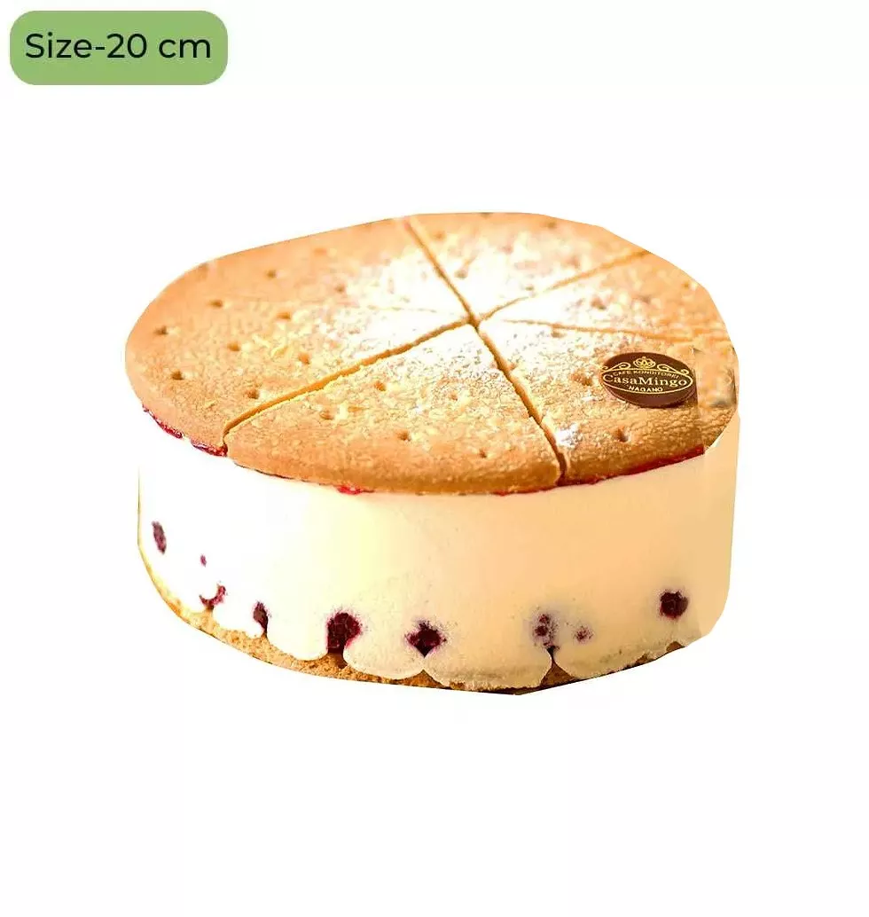 Indulgent Cheese cake with strawberries
