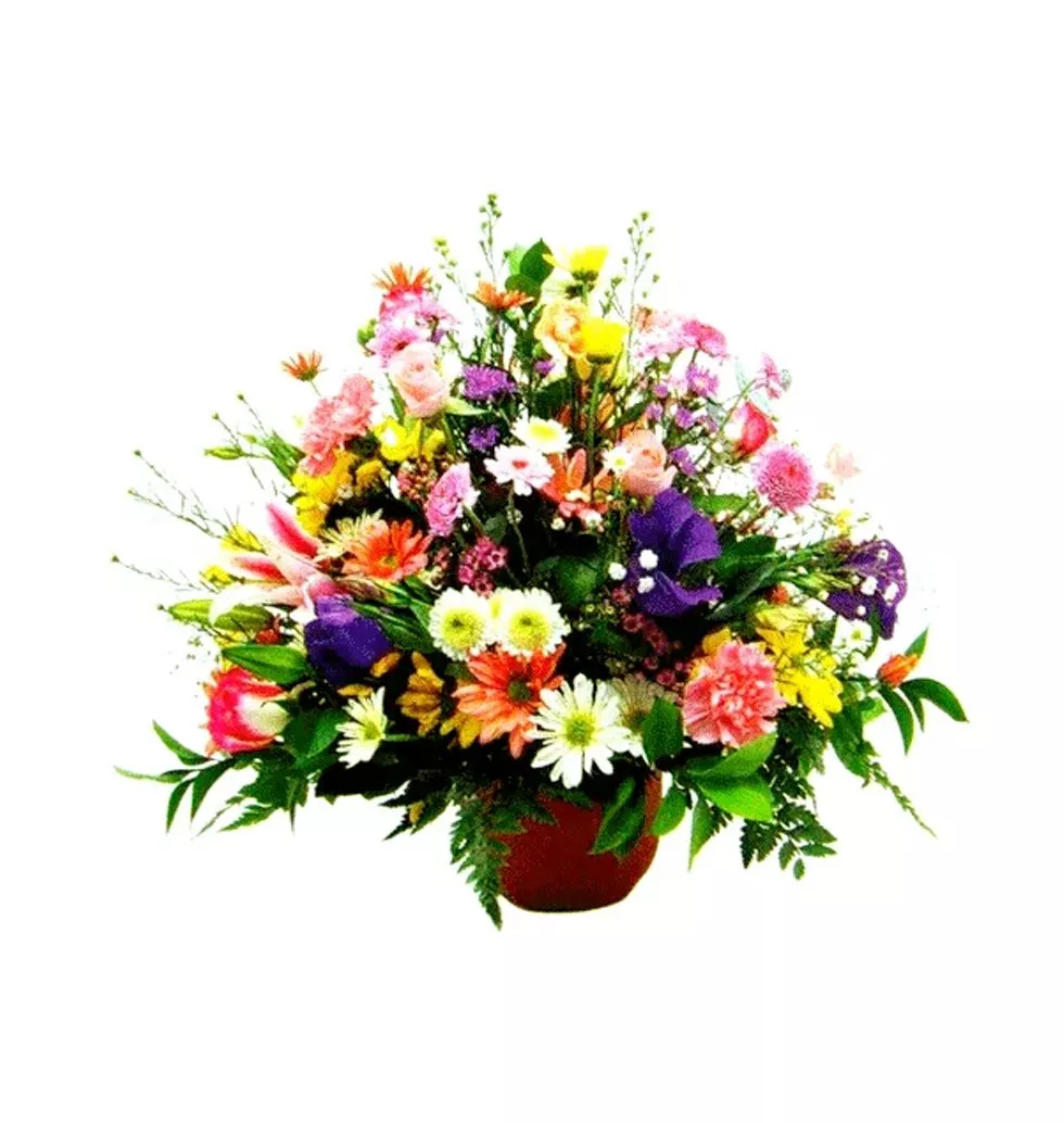 Charming Seasonal Flowers with Divine Pleasure