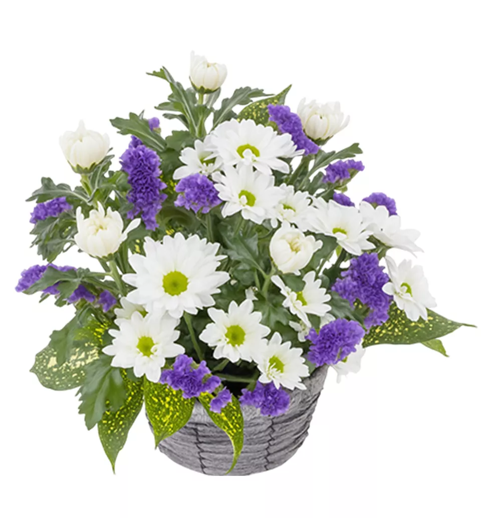 Elegant Sympathy Floral Display