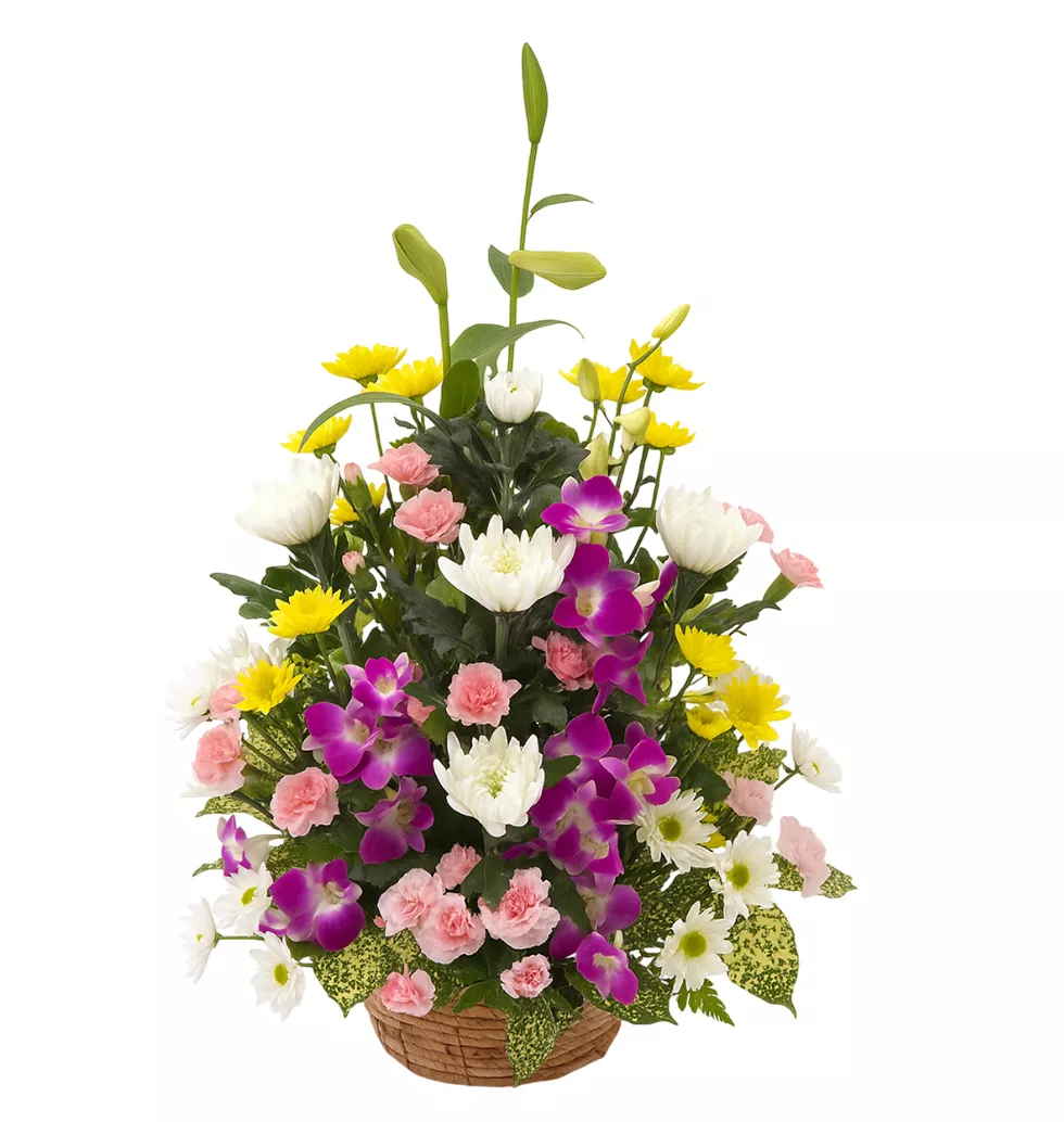 Cultural Floral Harmony